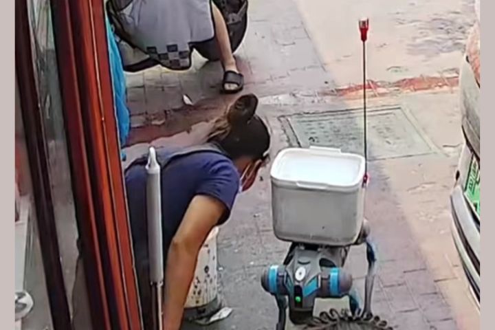 機器狗即可自主完成代排隊、運貨、甚至掃碼支付等任務。圖/取自微信影片