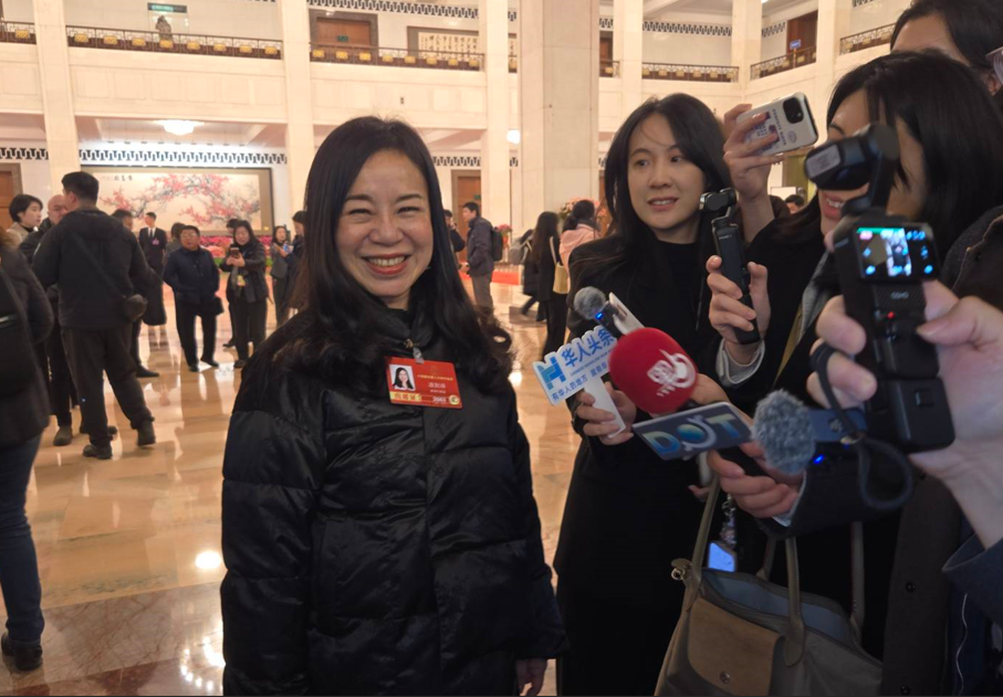 【兩會焦點】政府工作報告讓台灣人享受同等待遇政策　台籍全國人大代表凌友詩：推進對台灣的管轄權