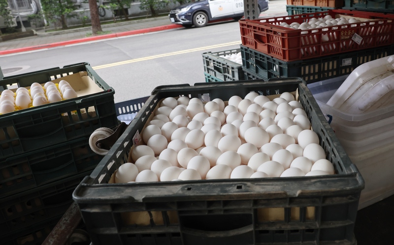 蛋價低迷不振 7月起淘汰180萬隻寡產老母雞