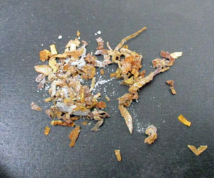 捲菸內是乾燥的職務與海洛因粉末。圖/取自日本財務省關稅局官網