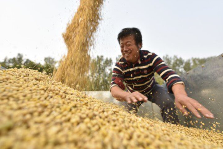 貝森特：大豆貿易按計畫進行　川習通話後中國至少加購94億元