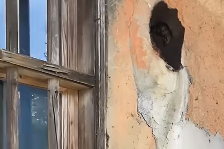 浙江麗水松陽一戶民宅，近日「煙囪裡的貓頭鷹」引發話題。圖/取自三農影片