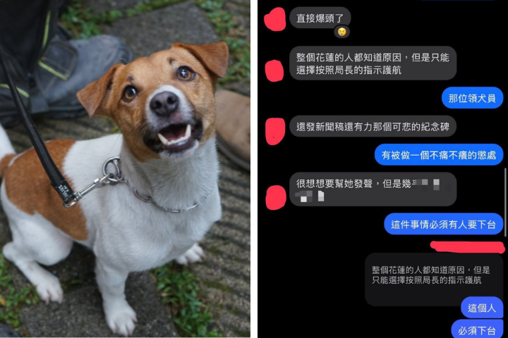花蓮搜救犬Wilson死因被封口？消防員證實「被爆頭、往牆壁撞」：按局長指示護航