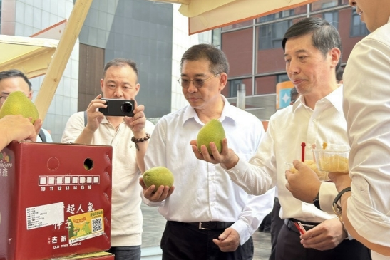 花蓮鶴岡文旦深圳亮相！張雅屏：落實「鄭習會」交流成果
