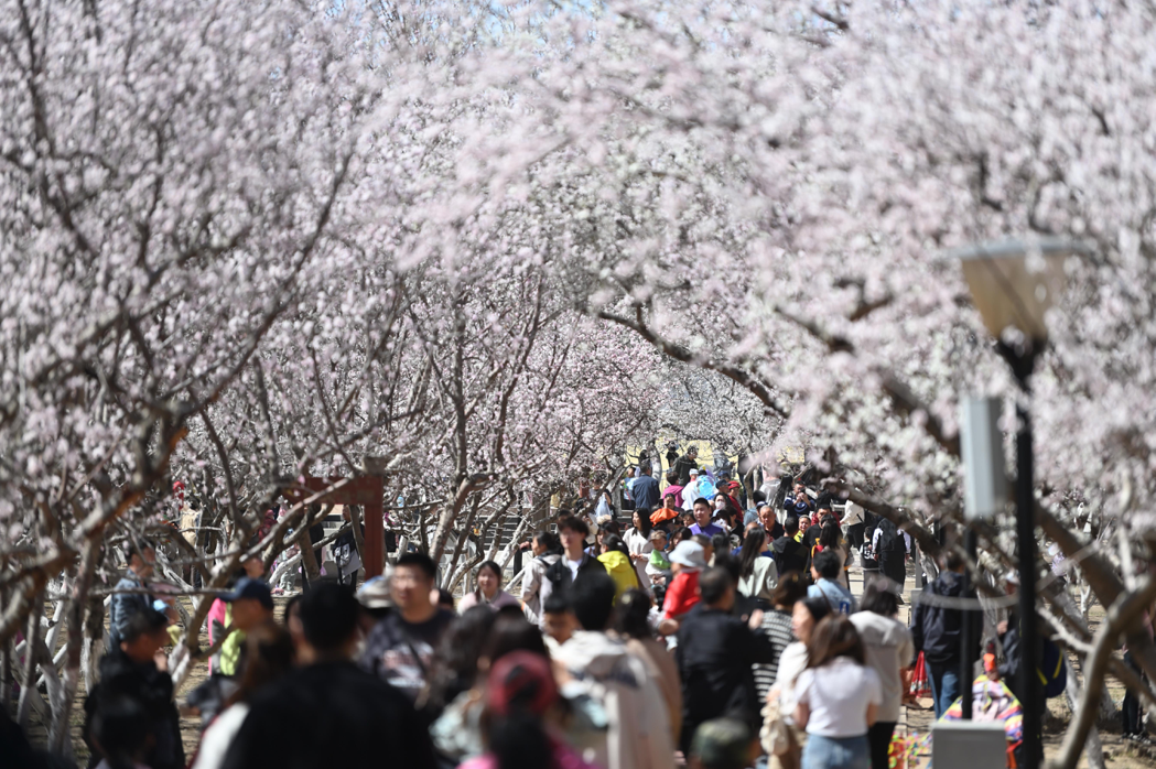 大陸旅遊市場復甦  清明假期重現人潮