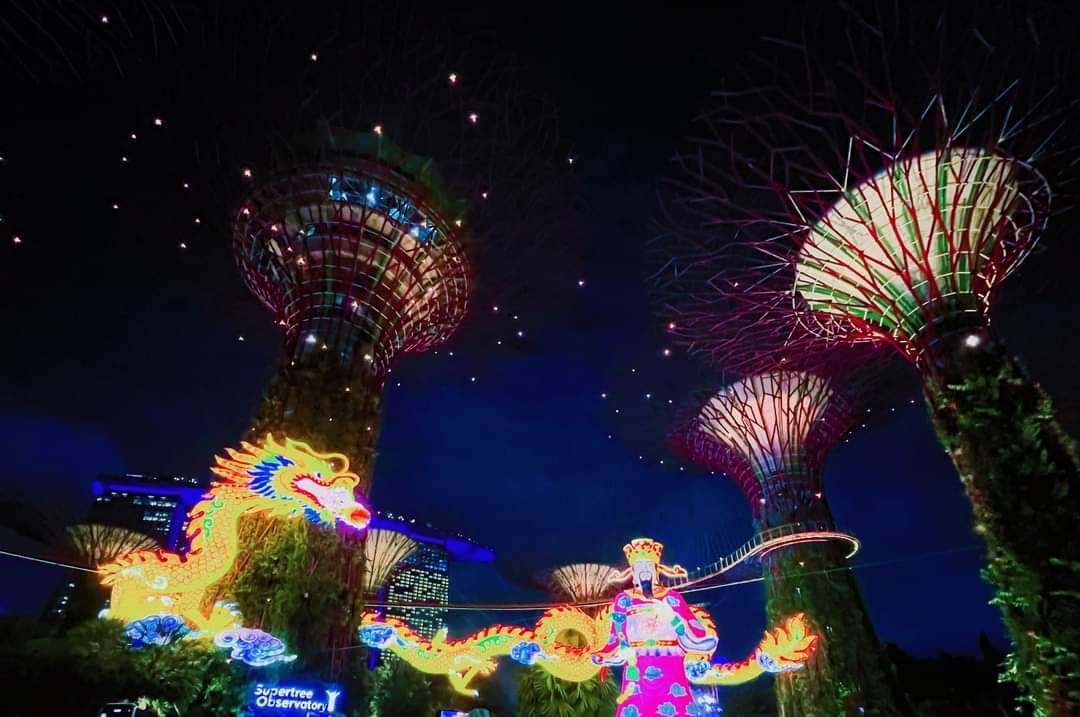 新加坡的龍年花燈。圖/取自童振源臉書