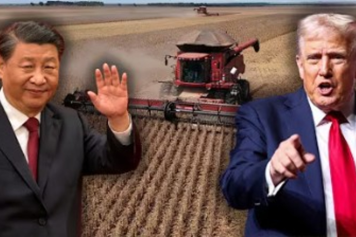 川習會成效！美大豆對陸出貨加速　6艘貨船12月集中裝運