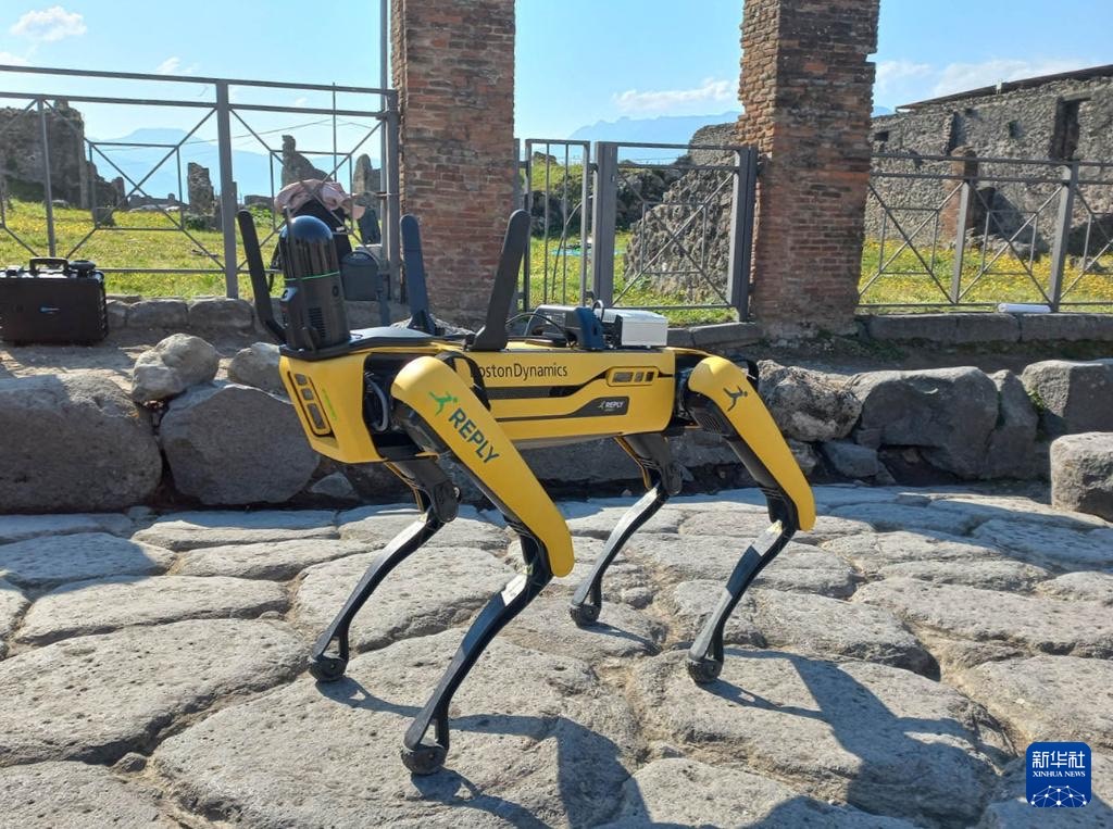 機器狗在義大利龐貝古城工作。圖/取自新華社