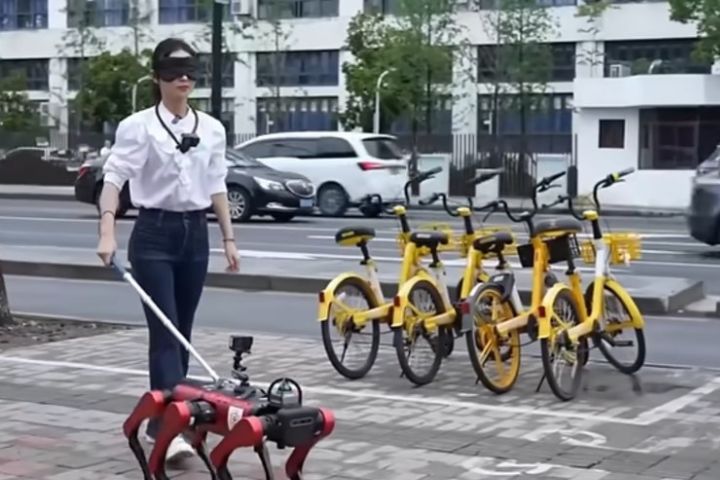 高德AI導盲機器狗「途途」亮相北京　宣稱能自主導航避障