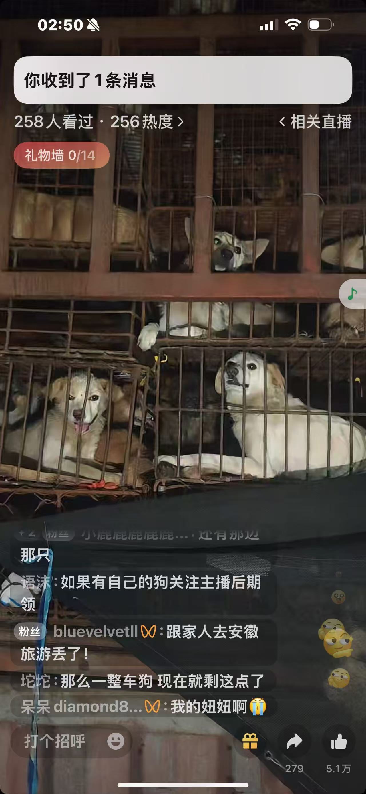 近日廣東省雷州市被志工發現載運500隻狗隻的狗肉販貨車，當中有些更是佩戴頸圈，懷疑是被偷走的寵物犬。圖/取自Threads
