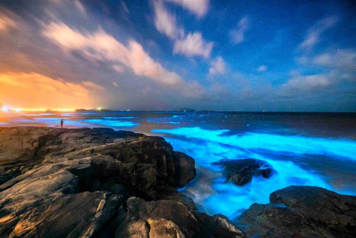 大陸福建平潭島自然奇觀的「藍眼淚」，夜晚海浪拍岸、藍光閃爍如星河墜海。圖/取自平壇文旅