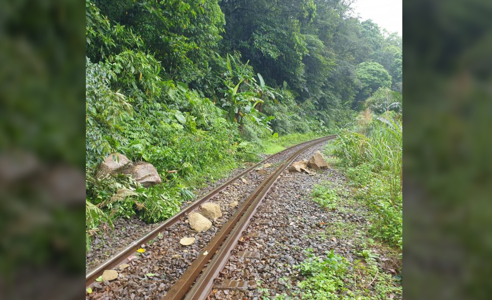 暴雨引發山區落石 台鐵平溪線停駛搶修