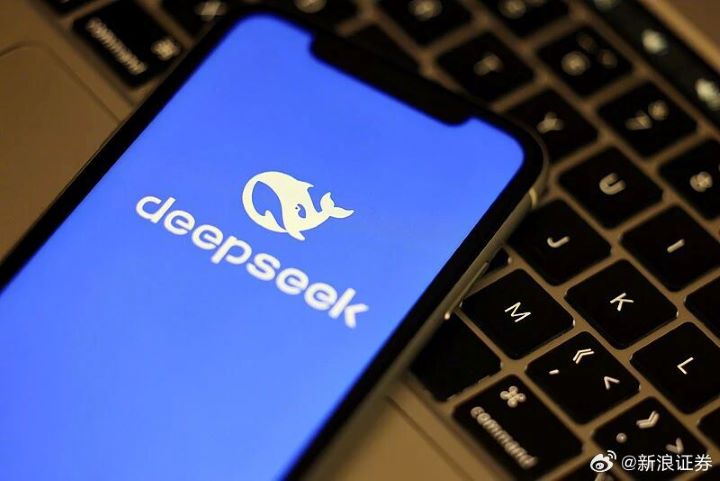 DeepSeek重啟融資，不一定代表它放棄技術導向，反而可能意味著「技術理想」進入需要資本支撐的新階段。圖/取自新浪財經微博