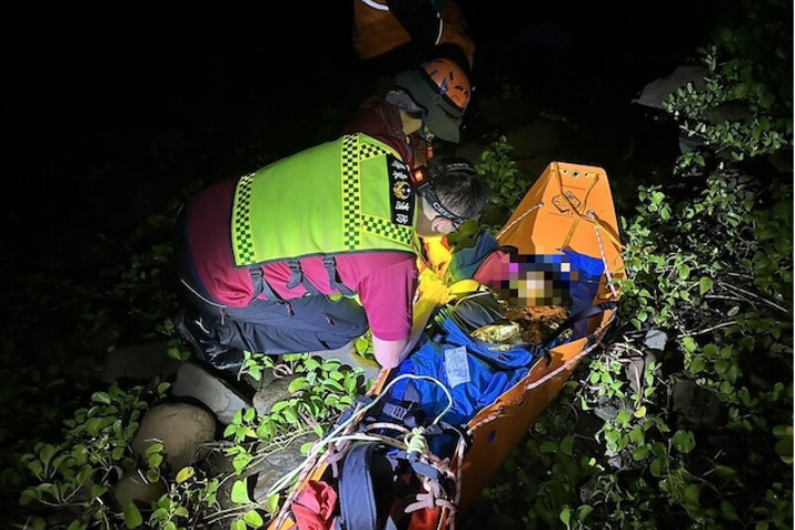 南仁山虎頭蜂攻擊釀2死　特搜還原救援驚魂：無路、無座標還可能有蜂巢