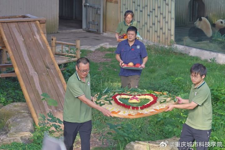 10月6日,重慶動物園舉辦一年一度的動物中秋限定宴席活動,以充滿儀式感的「動物團圓餐」拉開序幕。圖/重慶城市科技學院微博