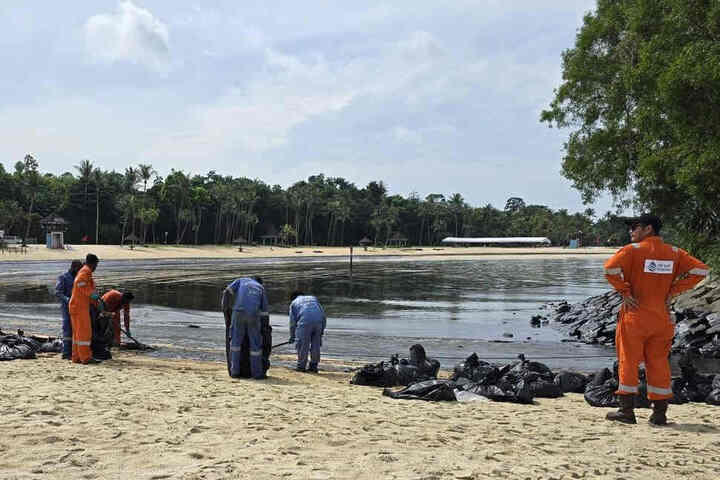 聖淘沙島上美麗的沙灘被黑色的漏油污染。圖/取自Sentosa《臉書》官方粉專