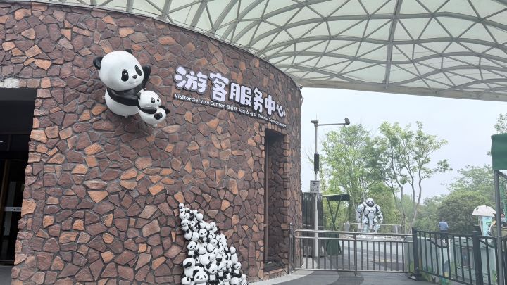  岳陽中華大熊貓苑坐落於大陸湖南岳陽南湖南岸，占地約2萬平方公尺。圖/記者陳素貞攝