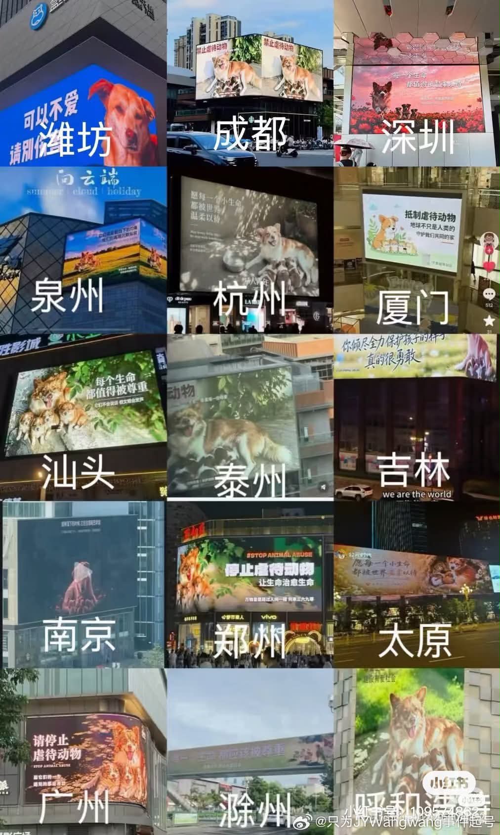 中國大陸的重慶、河南鄭州、成都、廣東深圳、福建、山东濰坊以及香港都陸續有看板、電視牆亮起旺旺一家的大螢幕照片。圖/取自Threads