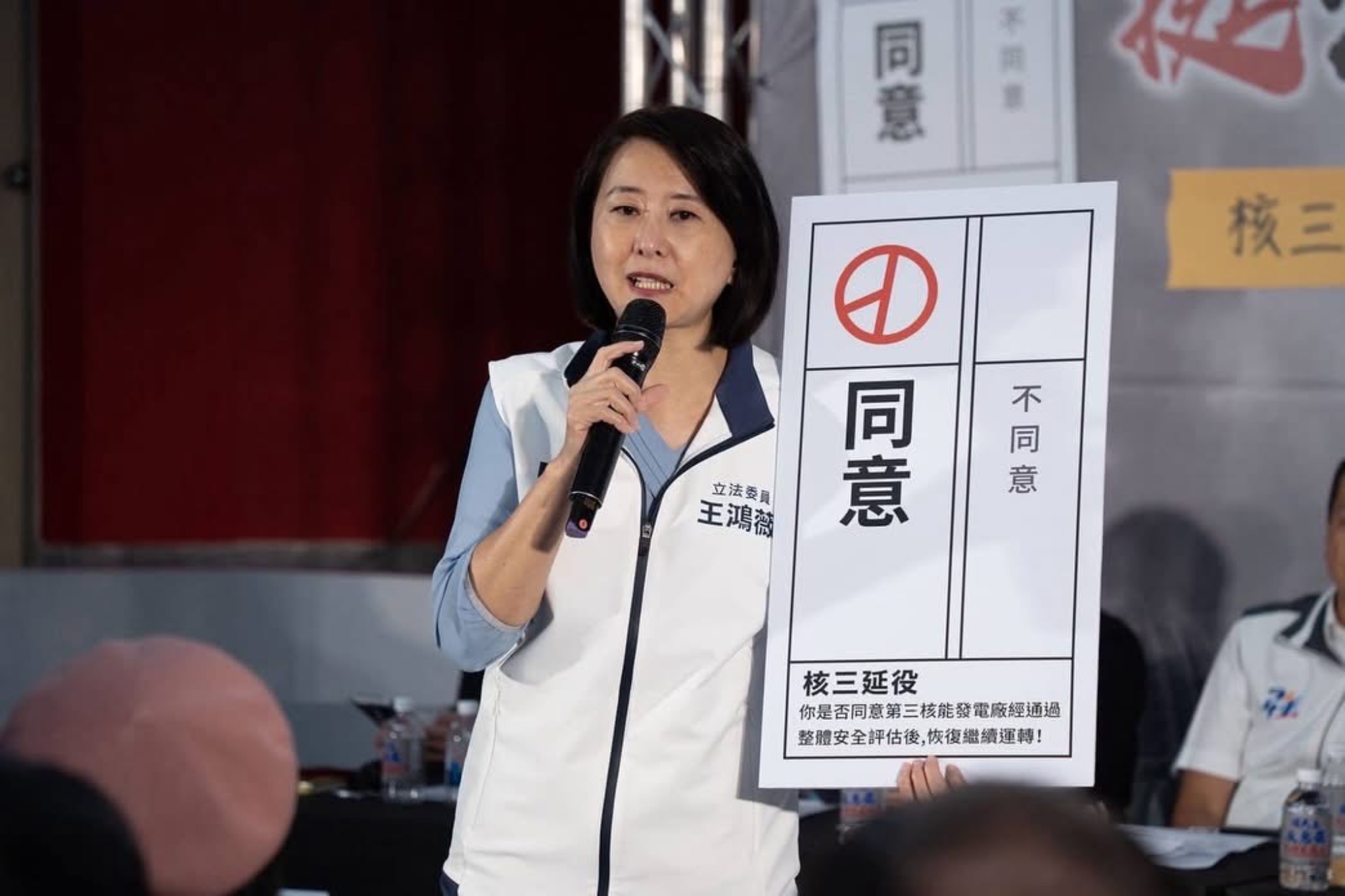 揭「公文檢討大罷免」遭總統府批移花接木　王鴻薇貼文再戰：哪裡造謠？
