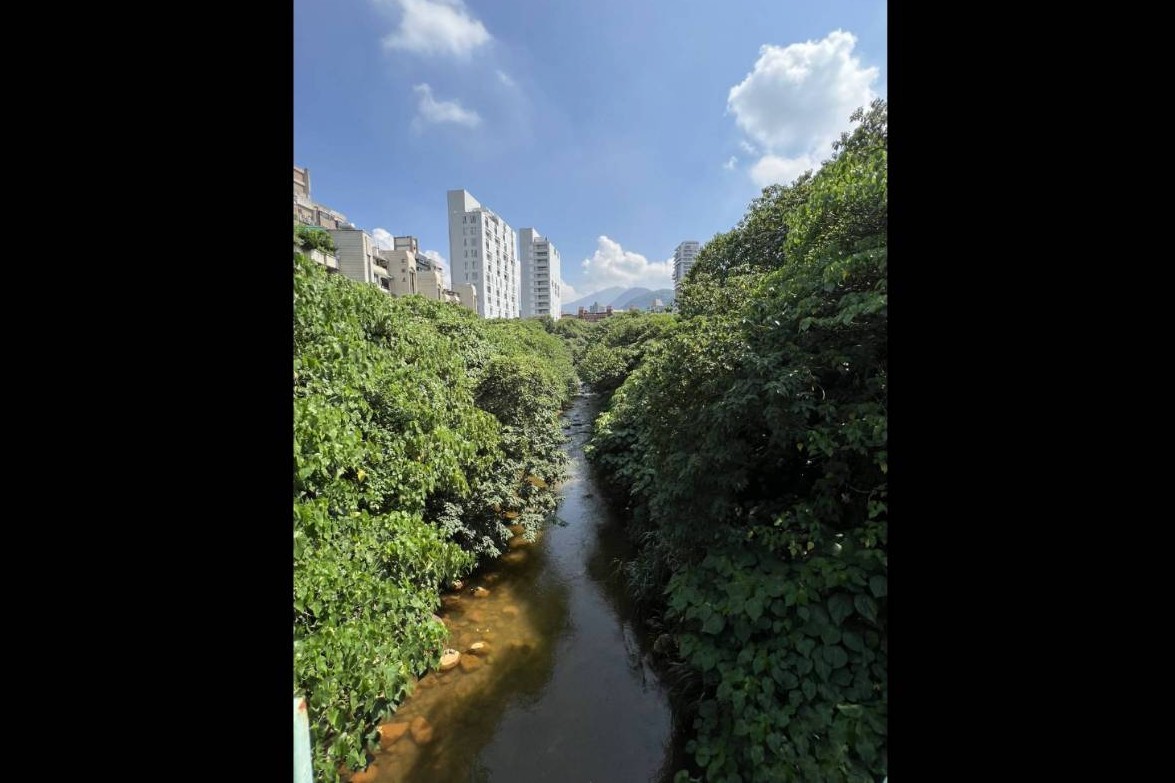 守住一條河！老圃蔡秀瓊小革命　矢言讓磺溪「成為台北河川治理典範」