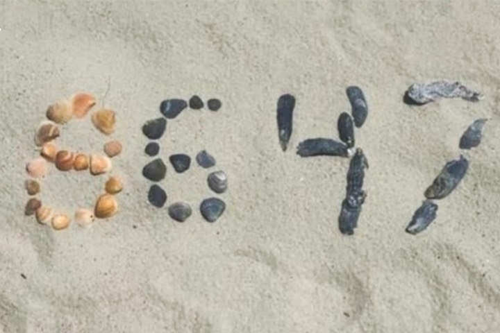 柯米貼文畫面顯示貝殼排出「86 47」數字。其中，「86」在俚語中常指「清除」或「處理掉」，而「47」則對應川普作為第47任總統。圖/翻攝自NBC News YouTube頻道（https://www.youtube.com/watch?v=dMx9Df7Fuyo）