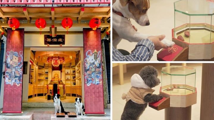  寵物信仰已深植台灣飼主文化，面對寵物高齡化帶來的病痛焦慮，針對毛孩的心理慰藉與祈福需求正呈現爆發式增長。圖/寵佑宮提供