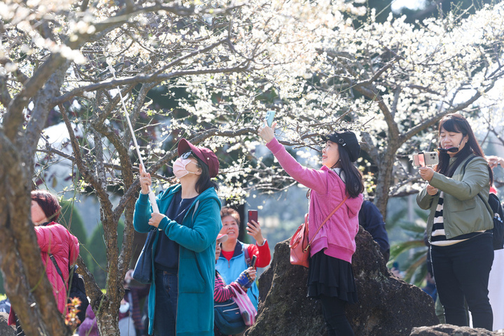 東北季風影響北台早晚濕涼　午間回暖馬祖留意晨霧