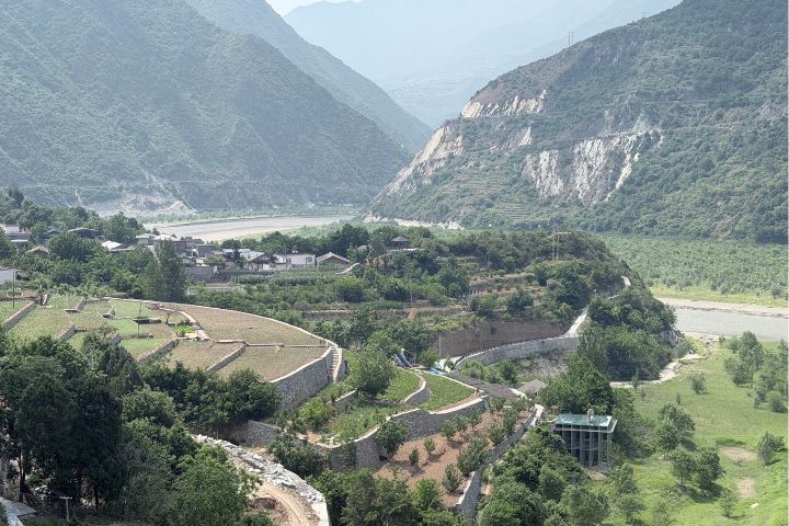 隴南的綠色奇蹟：甘肅文縣　如何讓龍井、紋黨參走出大山？
