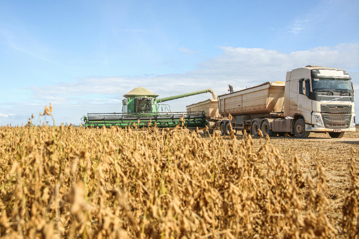 美豆農狂喜?川習會前夕 陸國企大買18萬噸美國大豆