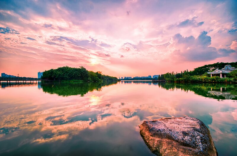 位於廣東省廣州市的海珠國家濕地公園是「城市綠肺」。圖/取自海珠區政府官網