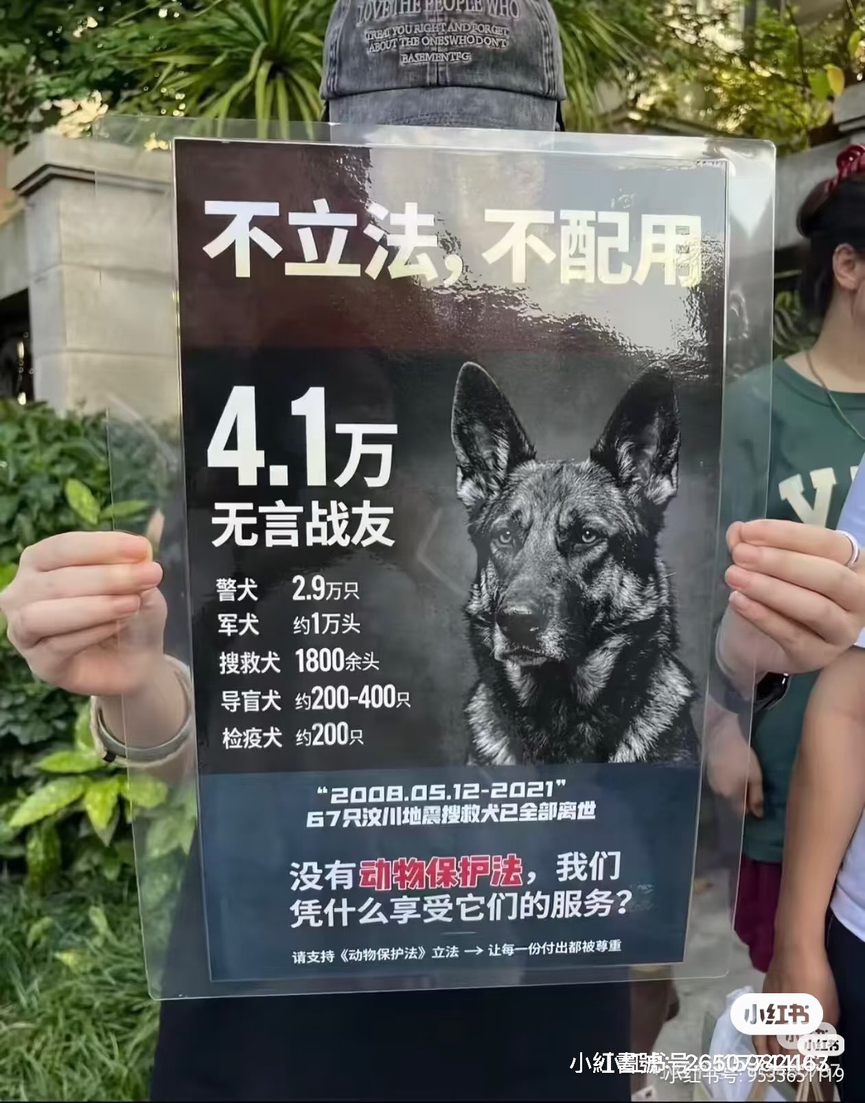 圖為2021年重慶警察槍殺8槍躺在地上曬太陽的退役德國牧羊犬(壯壯),當時全程被民眾目睹並拍下,撻伐聲浪很快在網路上發酵。圖/取自Threads