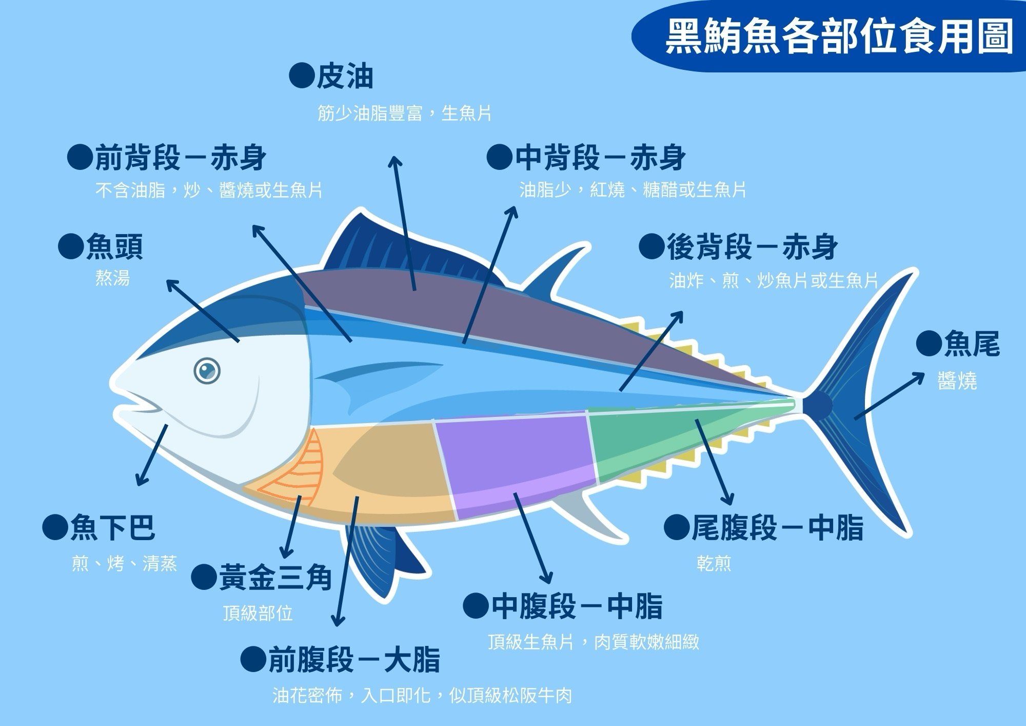 目前正是鮪魚季，鮪魚各個部位都有不同的料理方式。圖/農業部漁業署提供