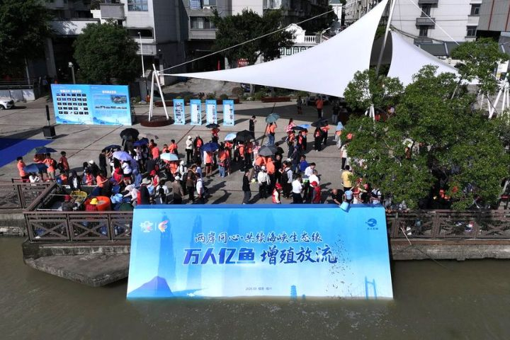 青年薈在福州舉辦魚苗放流活動　160名兩岸青年參與海洋保育