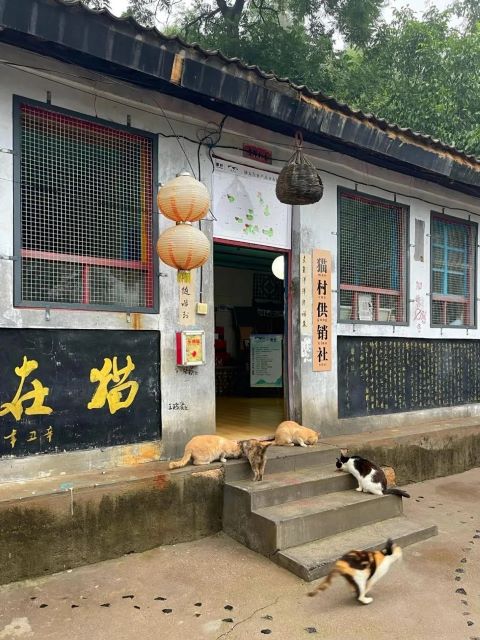 貓村供銷社的土蜂蜜、核桃油等土特產廣受歡迎，周邊村民亦受益。圖/取自新華社