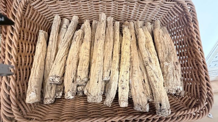  紋黨參因其主根上有緻密環紋而得名。圖/記者陳素貞攝
