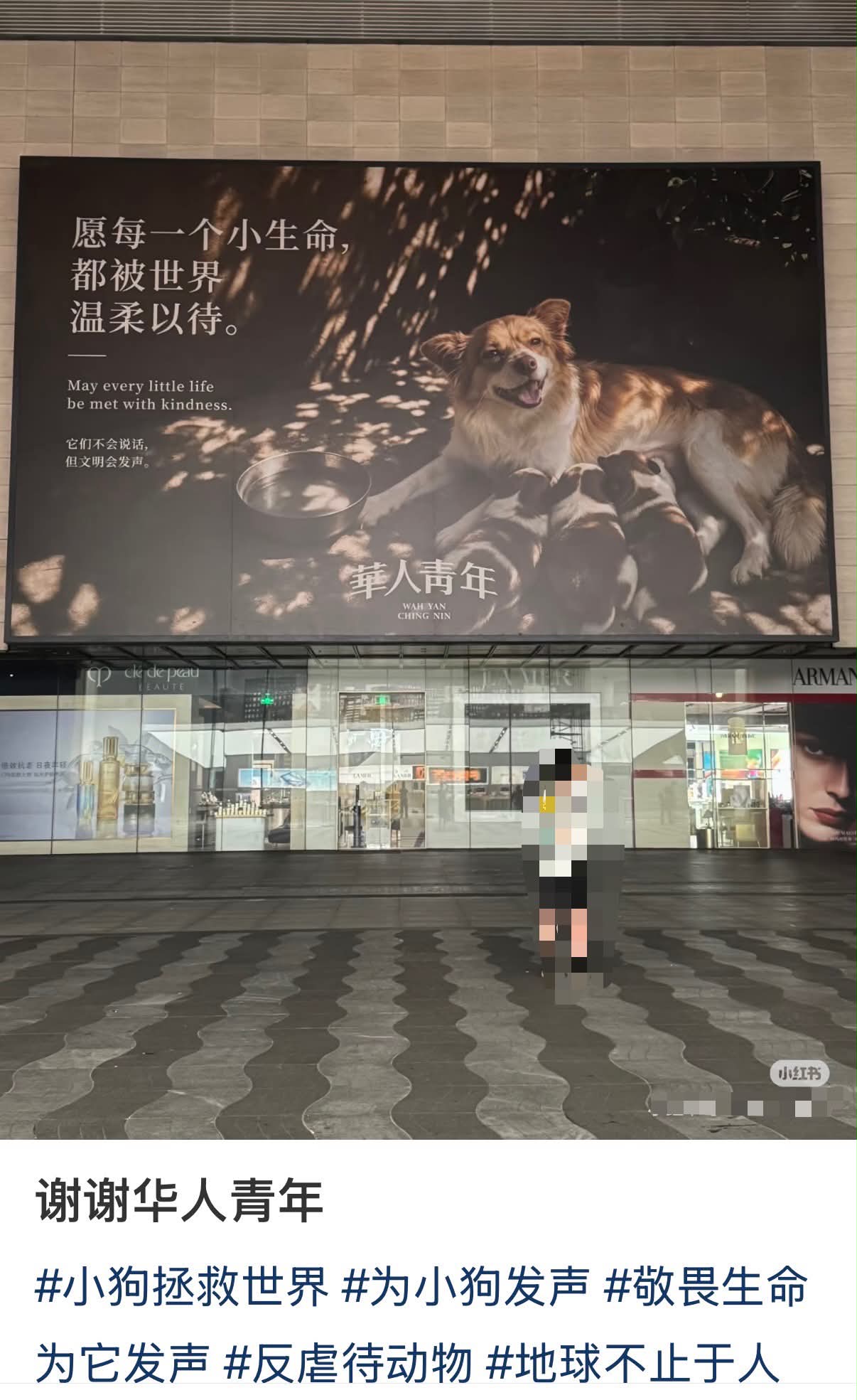 中國大陸的重慶、成都、深圳、福建、濰坊、杭州，以及香港都陸續有看板、電視牆亮起旺旺一家的大螢幕照片。圖/取自Threads