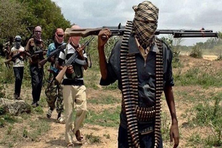 奈及利亞北部地區受武裝叛亂份子控制。圖/取自Nelson Epega《推特》