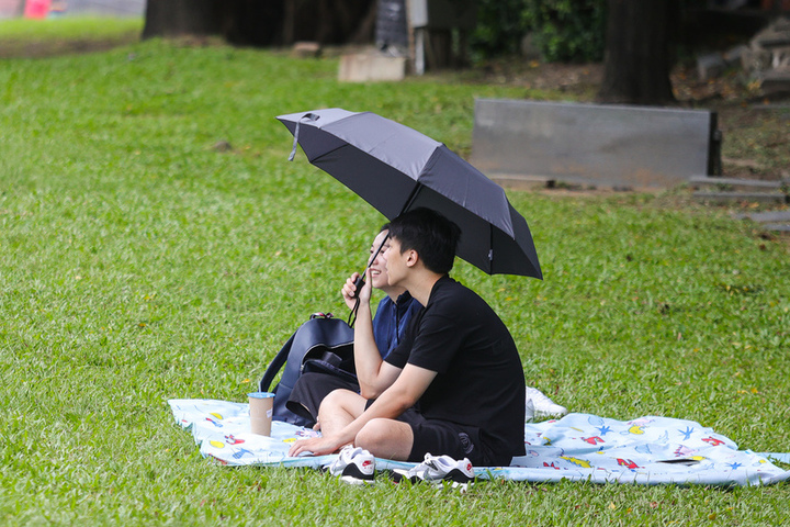 北市天氣不穩定，民眾華山大草原撐傘休憩 。圖/取自中央社