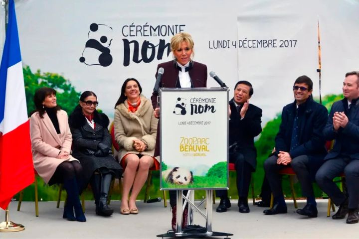 法國總統夫人碧姬於2017年出席「圓夢」的命名儀式,碧姬更是牠的「教母」,幾乎參與牠在法國的所有重要時刻。圖/取自中新社