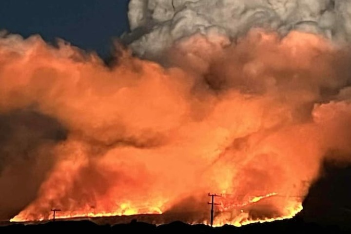 紐西蘭世界遺產野火延燒　已逾4.5座北市面積焚毀陸空消防全力救援