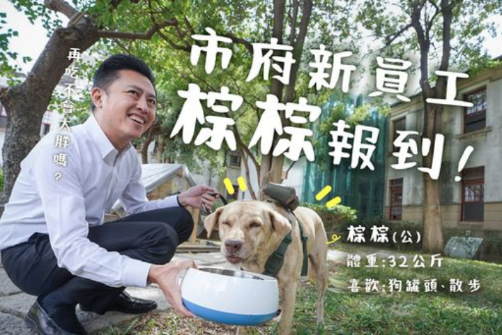 林智堅「市犬棕棕」被棄養送回收容所！網怒嗆：偽君子出來面對