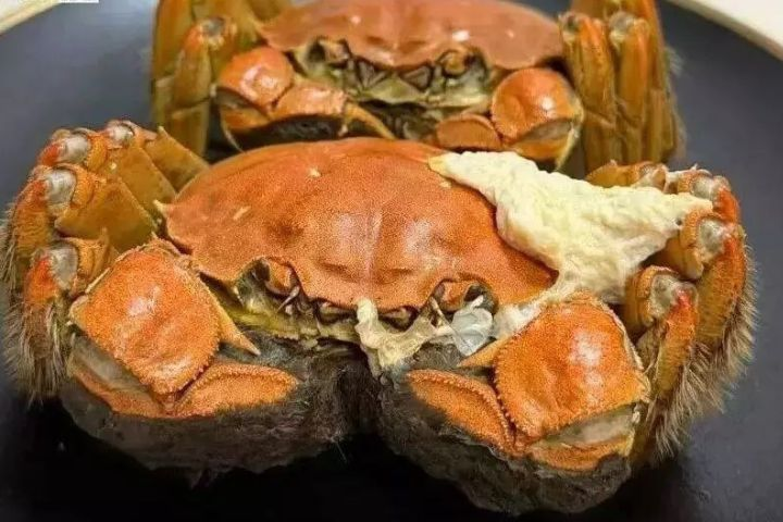 蒸螃蟹冒出「白色蛋白」可以吃　但這4部位不能碰