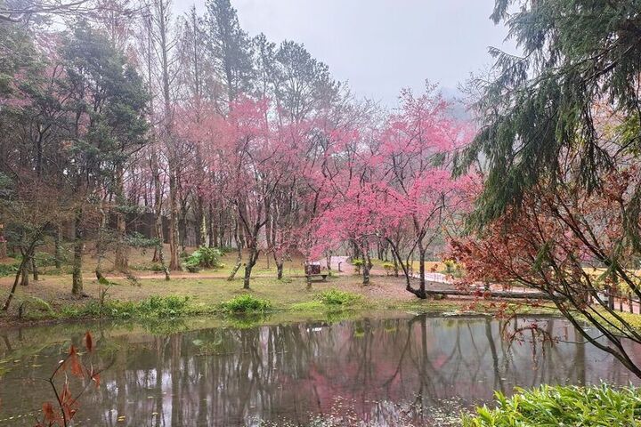 鋒面通過東北季風增強　北部東北部防短暫雨