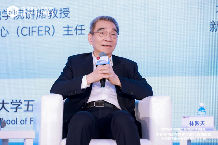 林毅夫：全球經濟長期疲軟才是最大問題　中國產能過剩「內卷」根源在需求不足