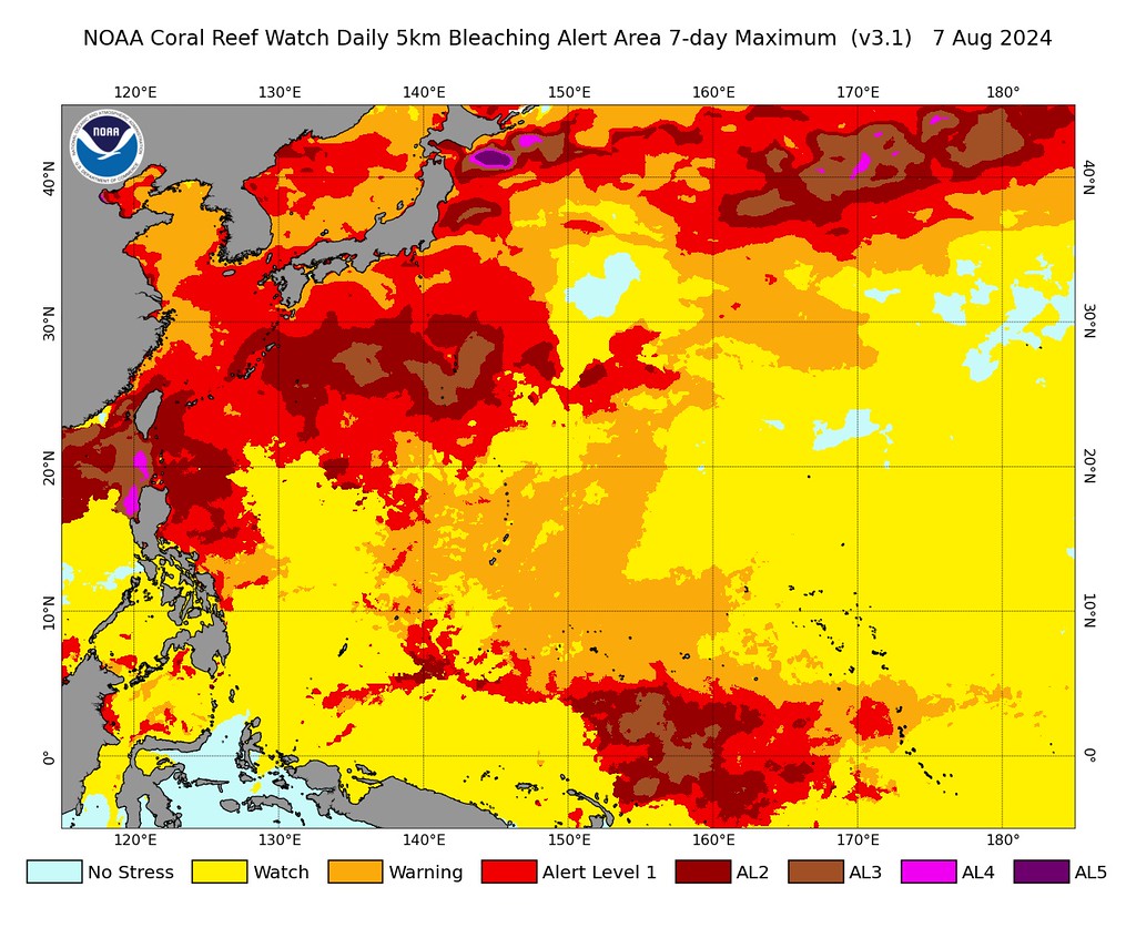 NOAA8月7日的珊瑚礁監測數據顯示，台灣鄰近海域的白化警報已達警報等級2。圖/取自NOAA官網