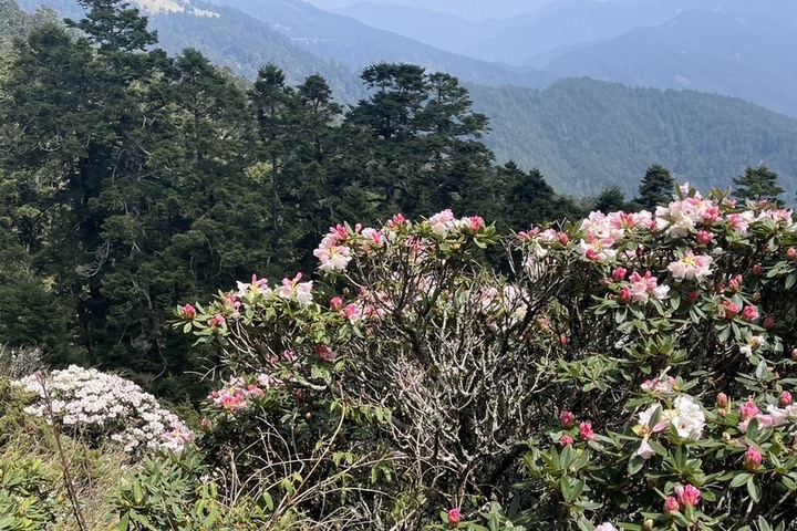 天氣穩定下周二前少雨悶熱　輕颱形成對台暫無影響