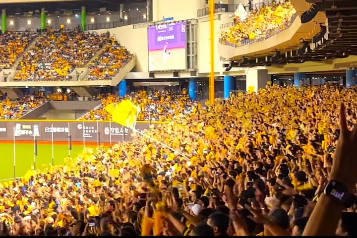 台灣大賽前4戰3場完售　至少12.4萬人進場　總票房將創新高