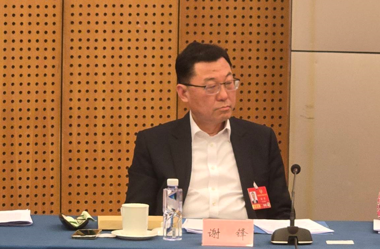 【兩會焦點】陸方細心維護川習會良好氛圍　謝鋒：希望美方和中方相向而行