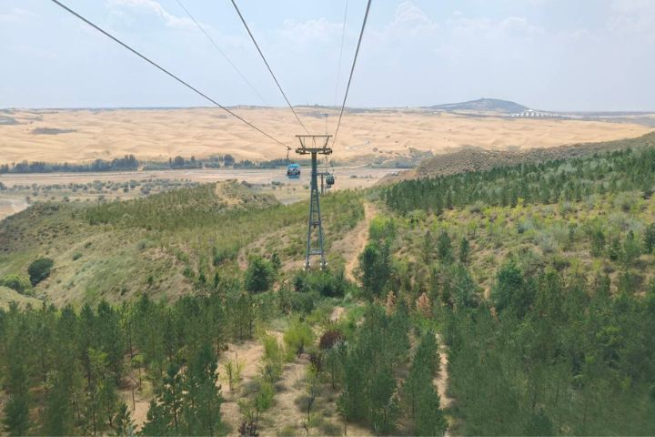 庫布其沙漠透過植樹固沙、光伏治沙及草原復育等措施,約4成沙漠面積已恢復綠意。圖/記者陳素貞攝