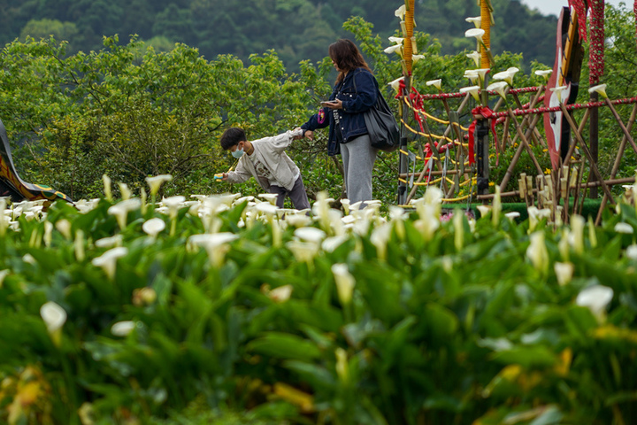 鋒面接近　中部以北午前有局部較大雨勢